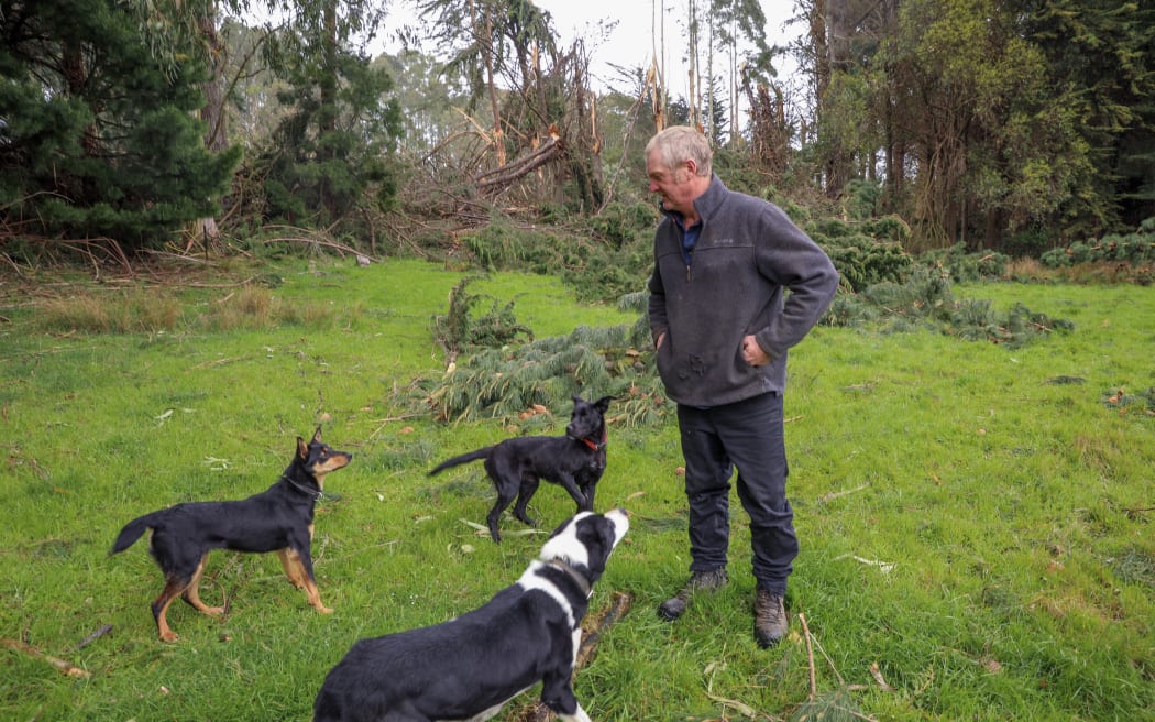 Clutha Valley volunteer fire chief stands on his farm with his dogs in front of fallen trees on his property.