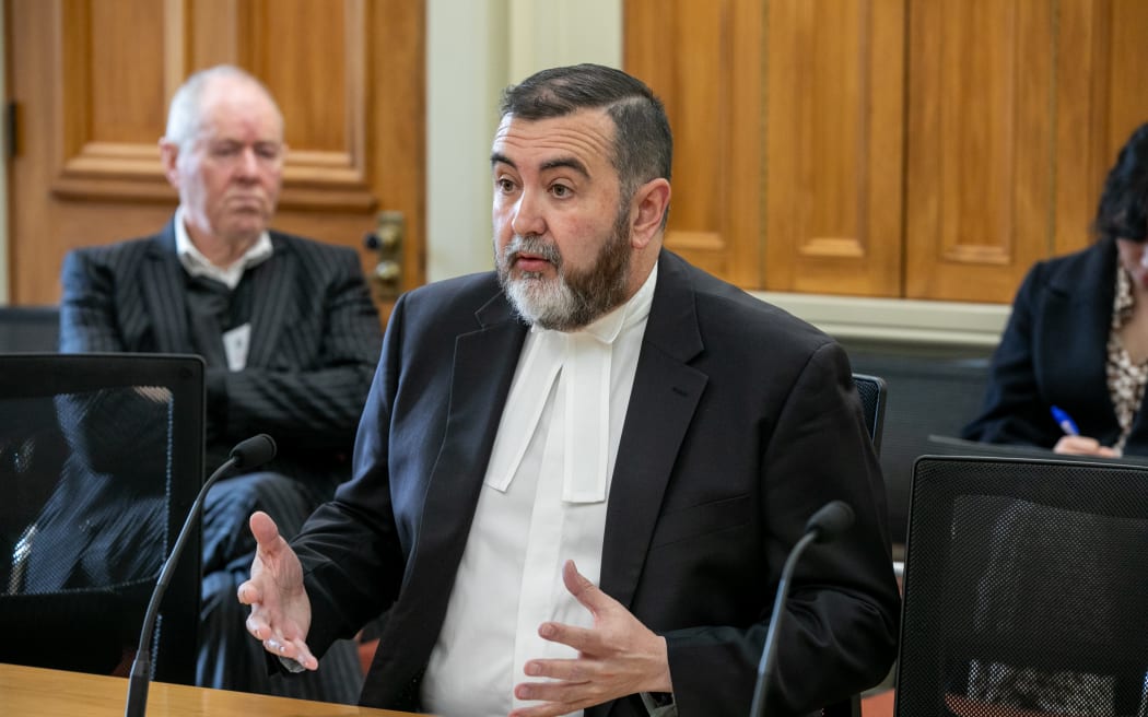 David Wilson makes an oral submission to the Governance and Administration Committee on the Public Service Amendment Bill