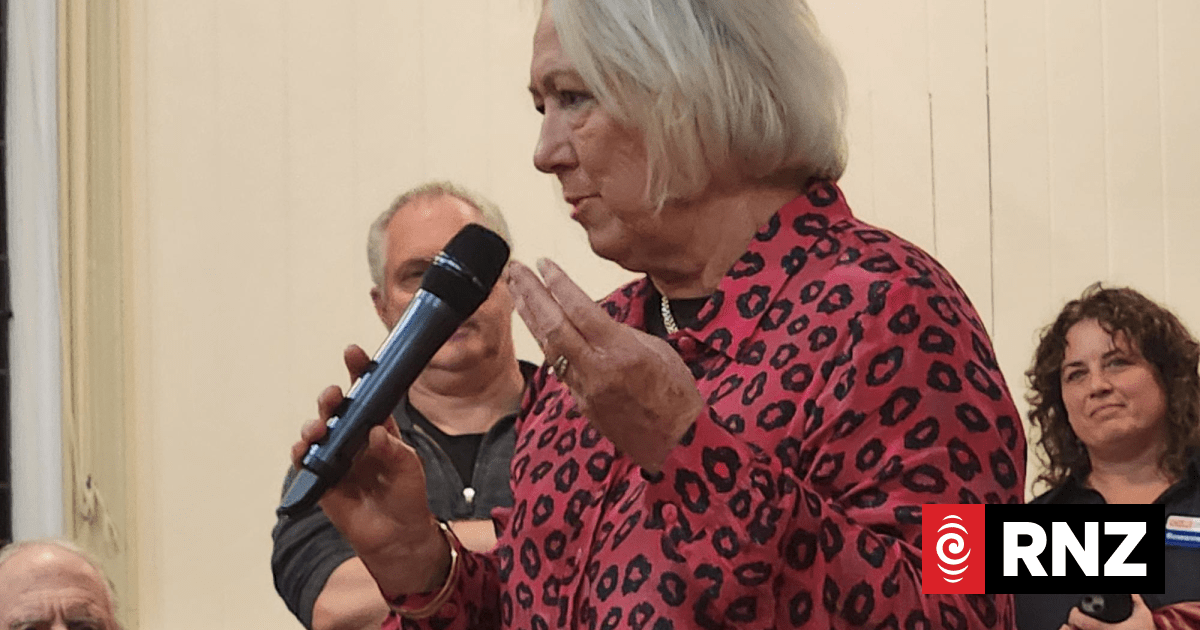 Albert-Eden-Puketāpapa ward councillor Christine Fletcher promises probe into unruly party