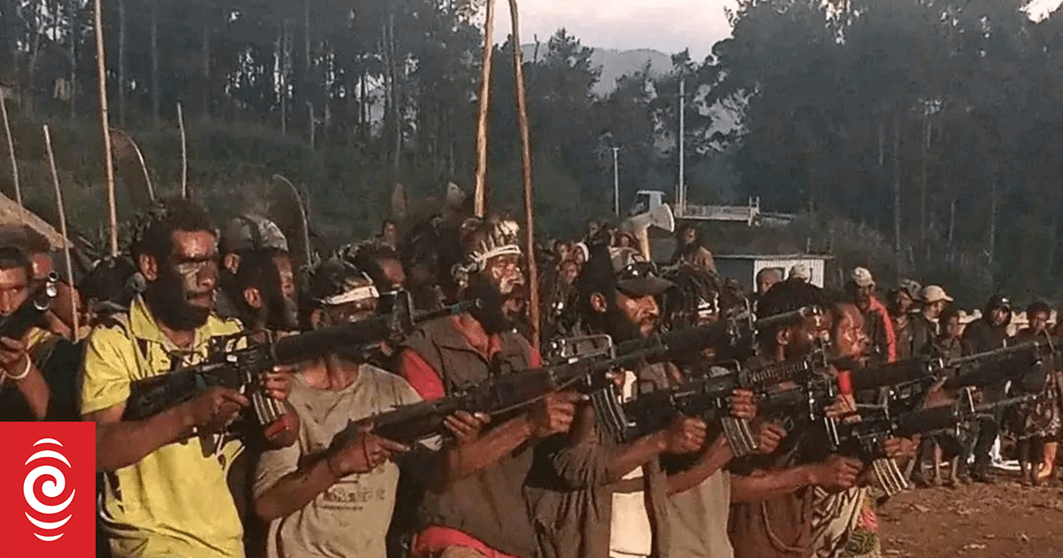 Papua New Guinea's gun buyback scheme a 'short-term fix', academic warns