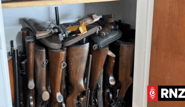 IT project behind overhaul of firearms regulations put on hold