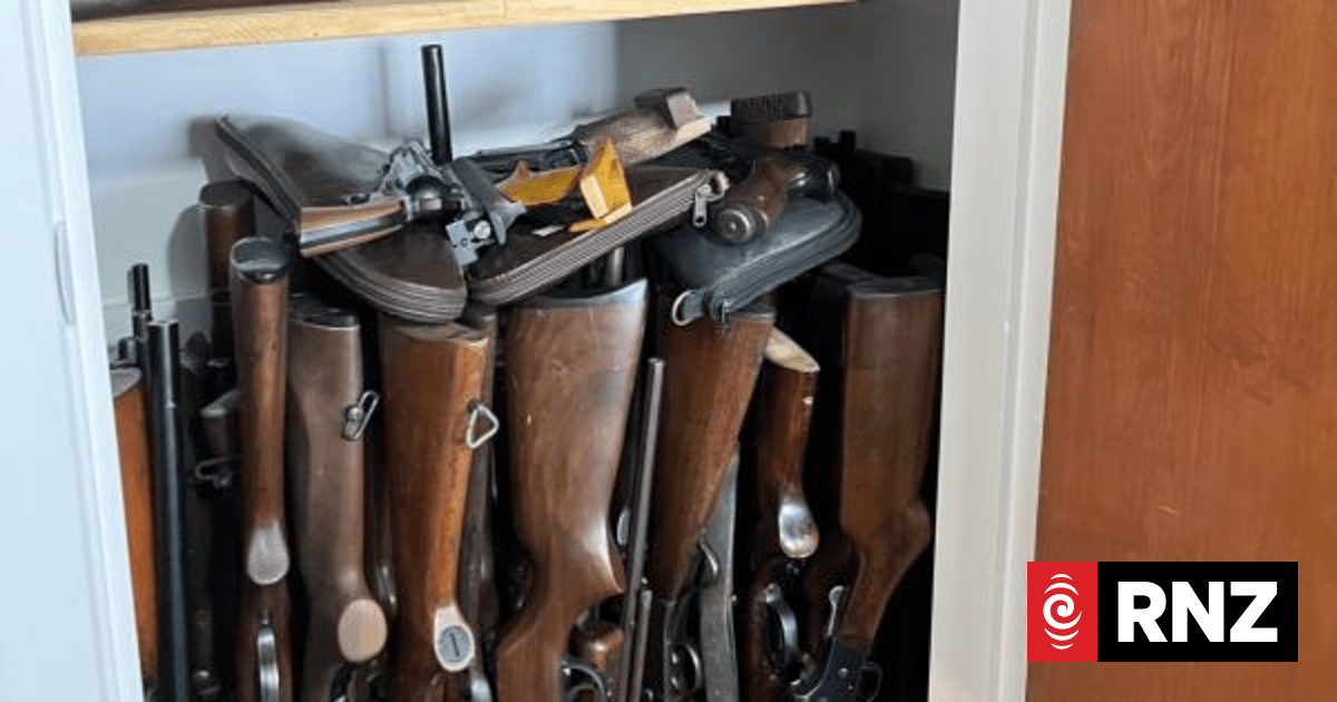 IT project behind overhaul of firearms regulations put on hold