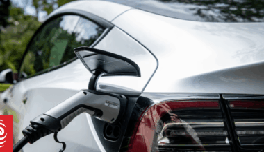 'Batteries on wheels': EV expert says power grid well-equipped for rise in use