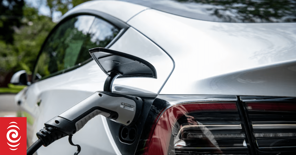 'Batteries on wheels': EV expert says power grid well-equipped for rise in use