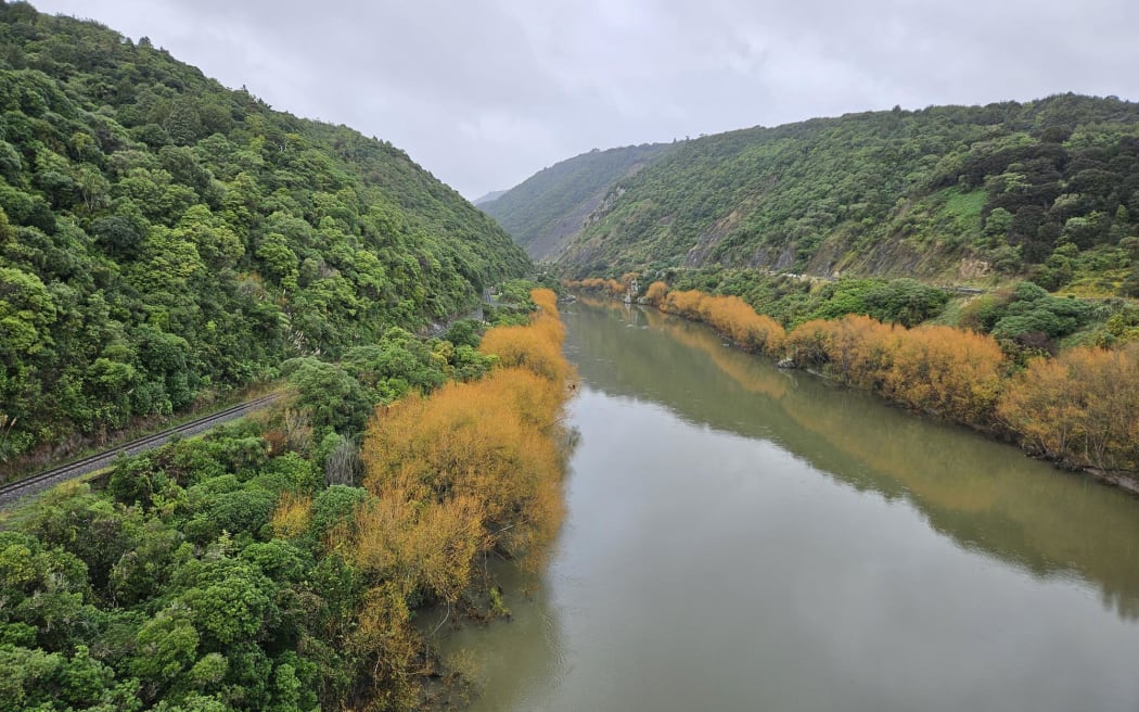 The Manawatū Gorge with the old State Highway 3 on the right side of the river.