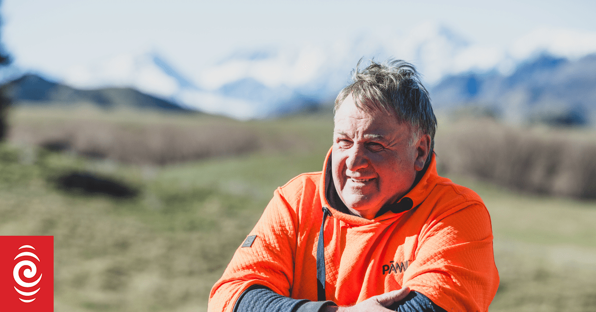 Molesworth Station: The groups vying to take over the country's largest farm