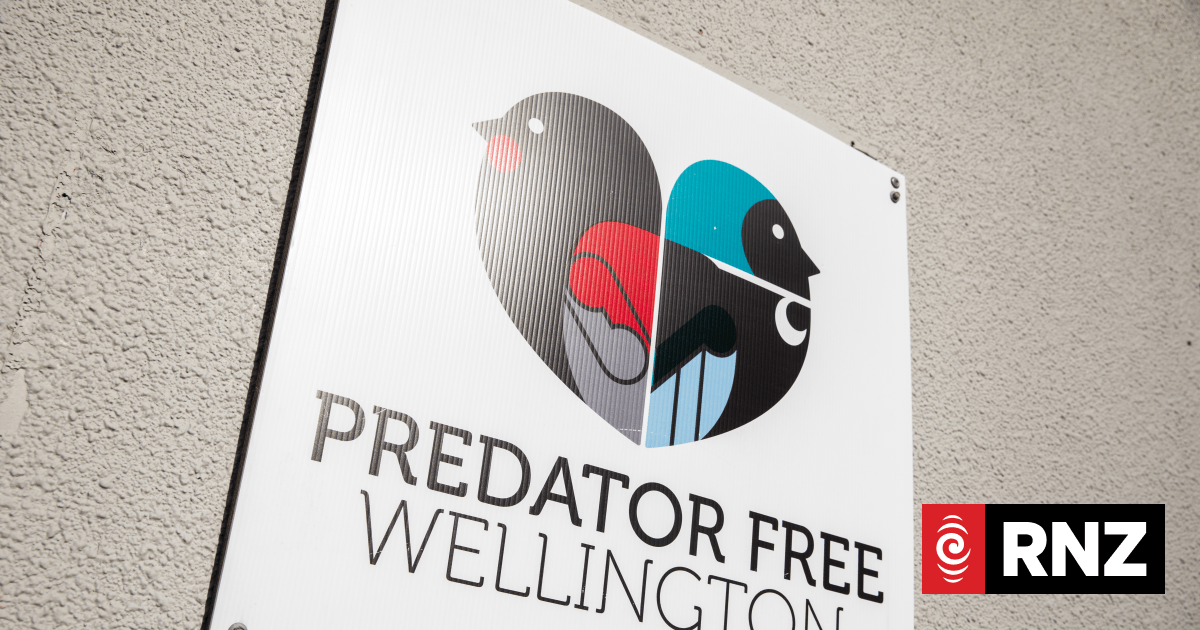 Wellington targeted for predator-free status within 10 years