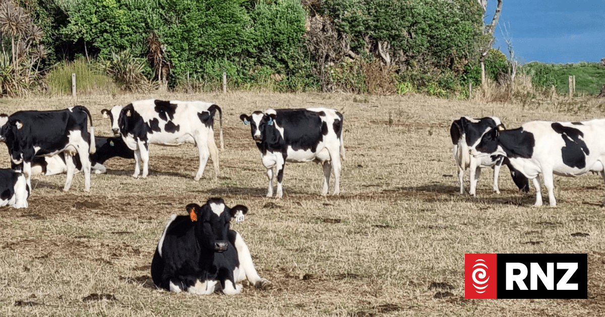 What the coming El Niño climate pattern means for NZ in a warming world