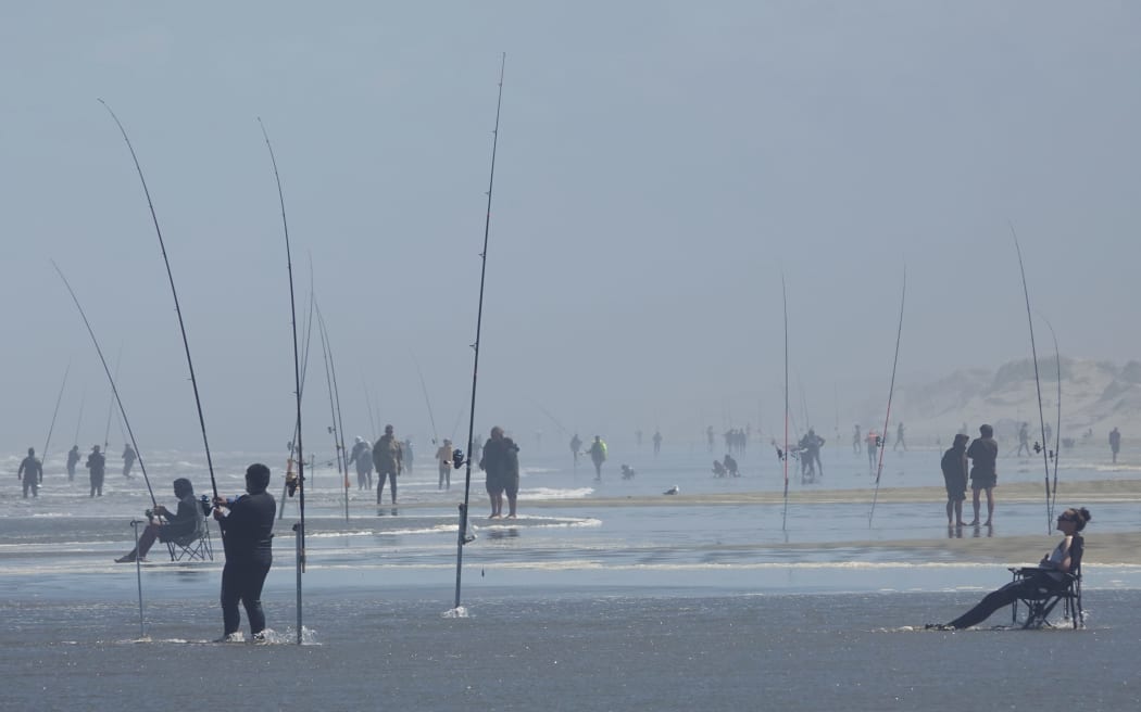 Anglers hoping to catch the big one at Hukatere, about halfway up Ninety Mile Beach.