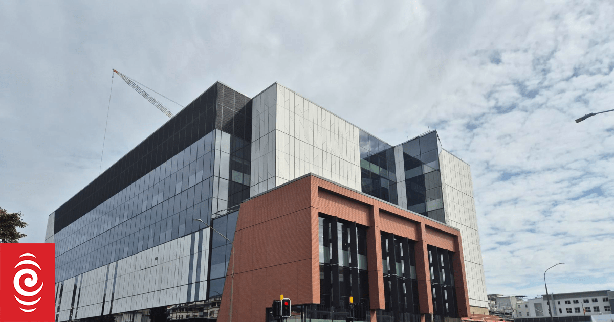 Second meningococcal disease case in Dunedin student community