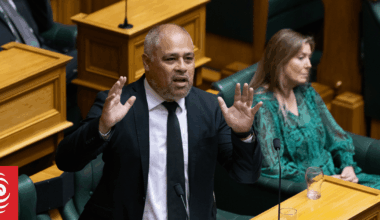Peeni Henare tells MPs to move away from 'gotcha style politics' in valedictory speech