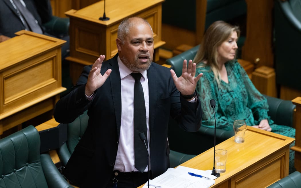Labour MP Peeni Henare speaking in the House.