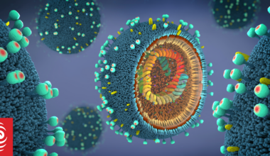 Epidemiologist says influeneze vaccine can reduce risk of heart attacks