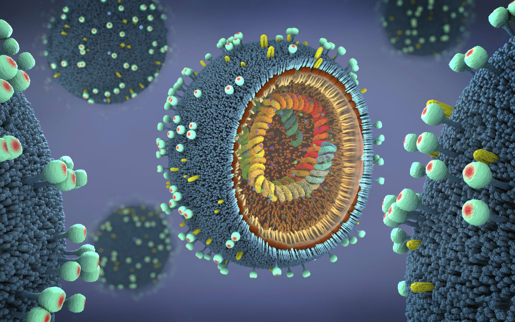 Influenza virus particles, illustration. (Photo by CHRISTOPH BURGSTEDT/SCIENCE PHOT / CBR / Science Photo Library via AFP)
