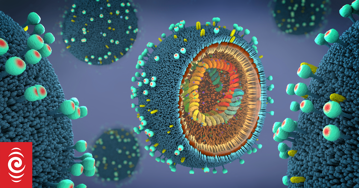 Epidemiologist says influeneze vaccine can reduce risk of heart attacks