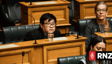 Greens concerned about potential loss of 'environmental functions' in new mega-ministry