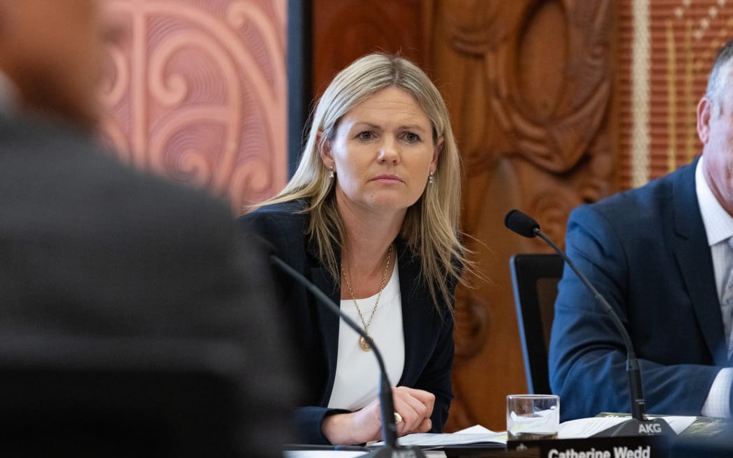 National Party MP Catherine Wedd in select committee.
