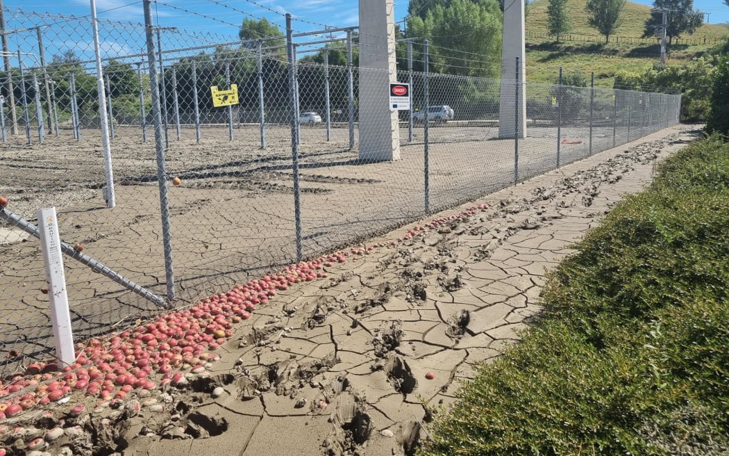 Apples and dried mud at Redclyffe substation after Cyclone Gabrielle.