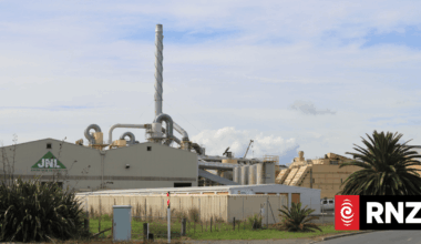 Kaitāia timber mills may close with loss of hundreds of jobs