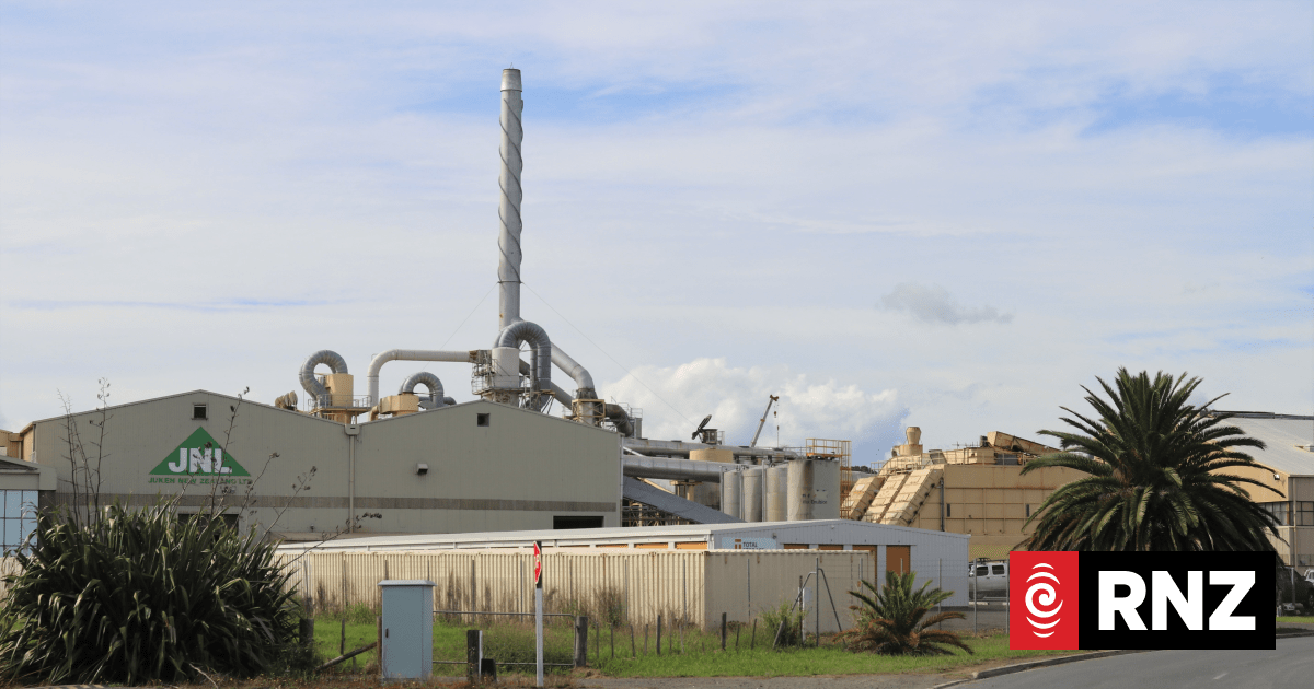 Kaitāia timber mills may close with loss of hundreds of jobs
