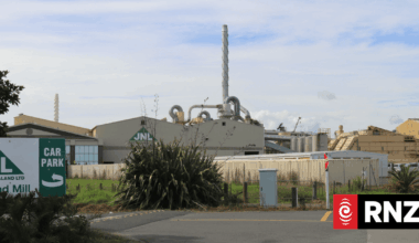 Kaitaia residents say town will be devastated if big employer Juken timber mills shuts gates