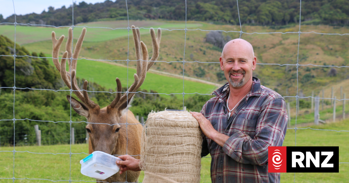 Southland farmer takes edible bale netting invention to Europe