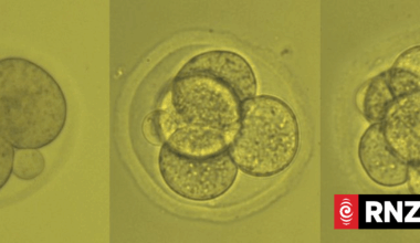 Fertility clinic apologises for lost embryos, still not sure where they are