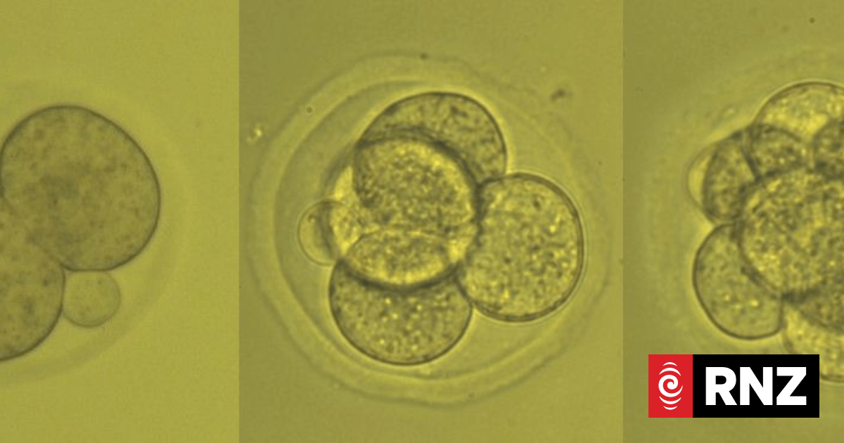 Fertility clinic apologises for lost embryos, still not sure where they are