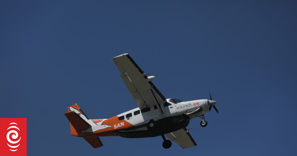 Fog disrupts flights at Wellington airport