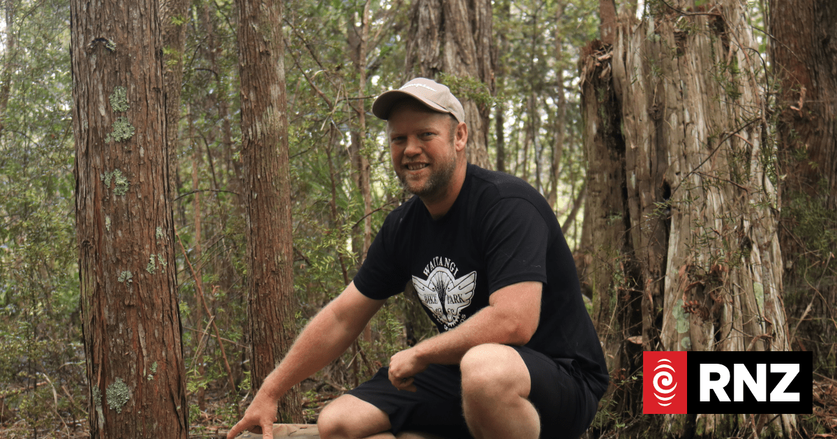 Strange chain of events leads to important ecological discovery of native bats