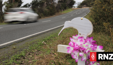 Cars the leading cause of reported kiwi deaths across Northland