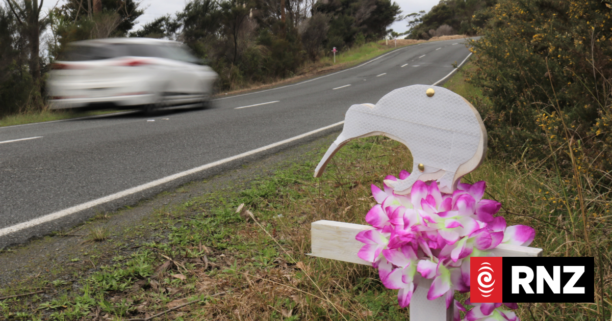 Cars the leading cause of reported kiwi deaths across Northland