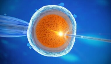 Fertility Associates apologises after embryos go missing at Auckland clinic