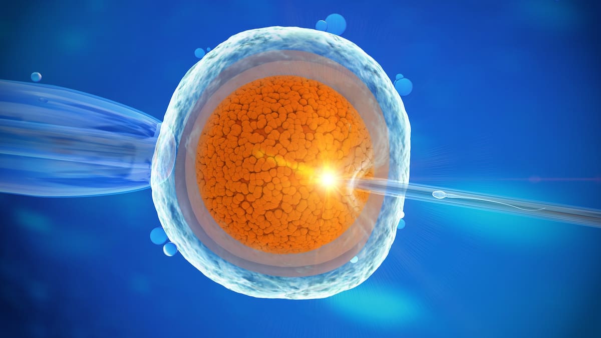 Fertility Associates apologises after embryos go missing at Auckland clinic