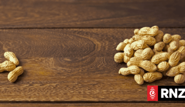 New Zealanders feeling the pinch of rising inequality, think tank says