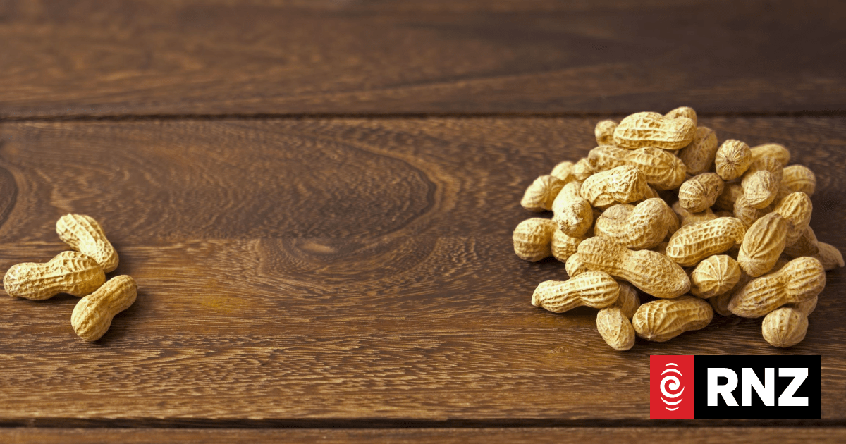 New Zealanders feeling the pinch of rising inequality, think tank says