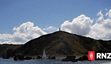 Police, helicopter rescue boaties, diver of Wellington's southern coast