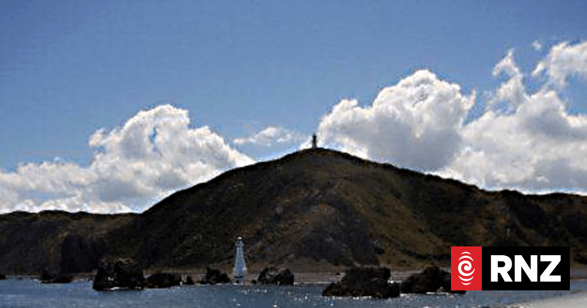 Police, helicopter rescue boaties, diver of Wellington's southern coast