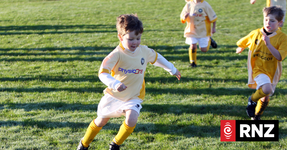 Fee-free vs fee hikes: The growing divide in kids' sport