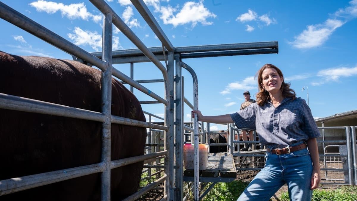 Thomas Coughlan: Nicola Willis tells Labour there’s a new sheriff in town