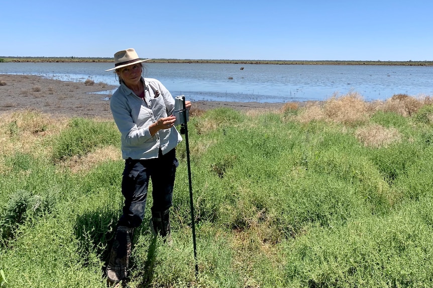 A woman with survey equipment in the field.