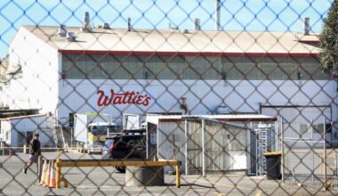 Wattie's plan to quit frozen vegetables 'kick in the guts'