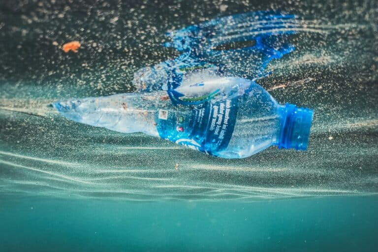 Rutgers University researchers programmed plastics that can self-deconstruct when exposed to metal ions, which are common in seawater.