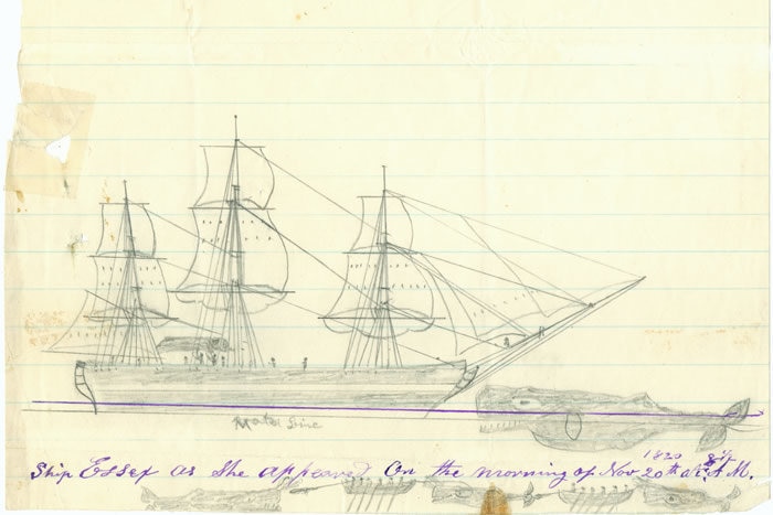 A black line drawing on yellowed paper of a three-mast wooden ship with a whale head-on directly in front of it.
