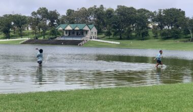 Climate change ‘notably absent’ from new development laws, say councils