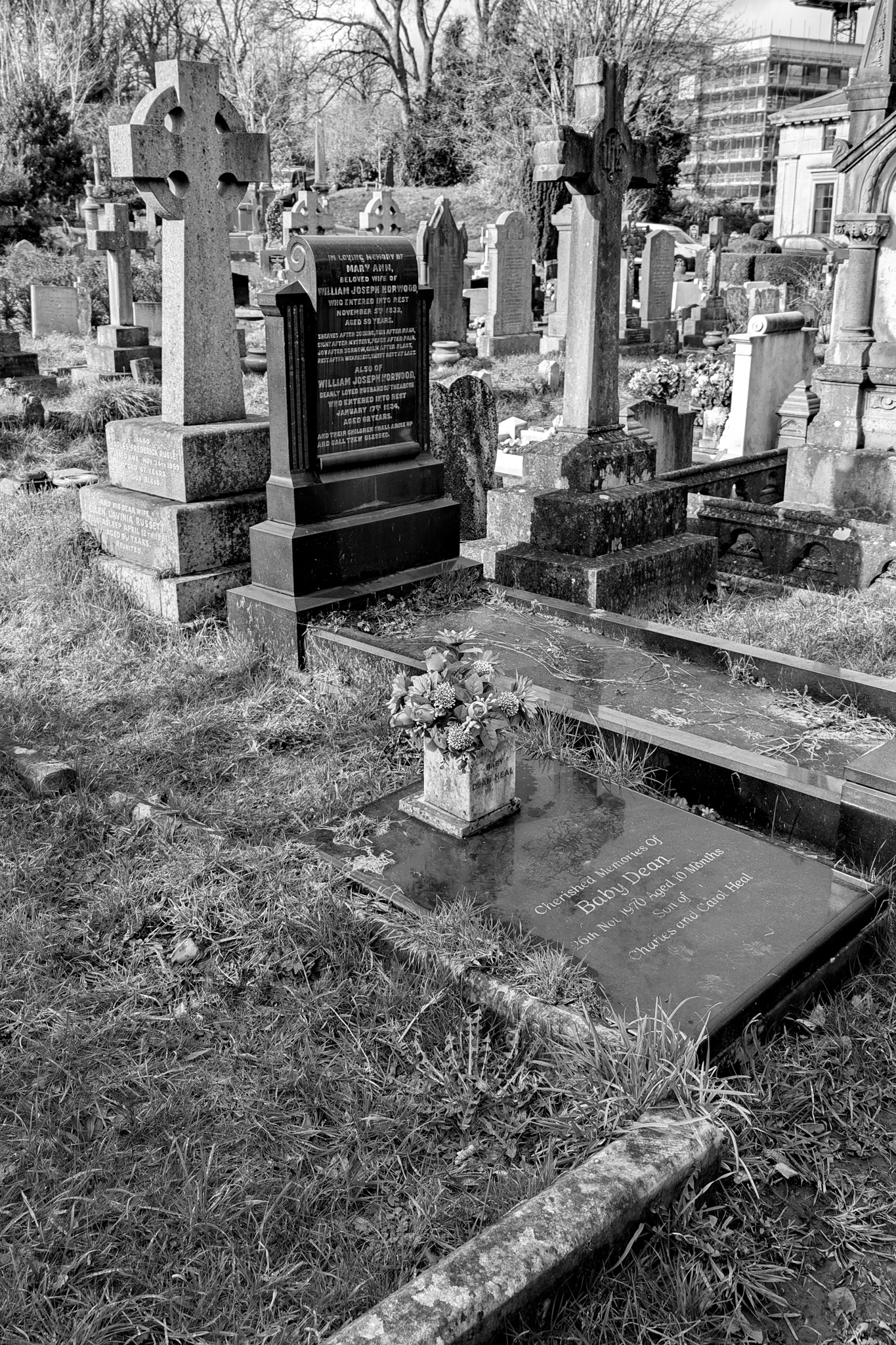 Leica Q3 Monochrom and Google Pixel 10 Pro XL comparison