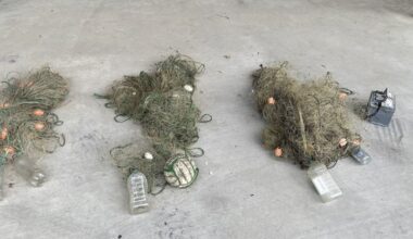 Northland fishers caught flouting shellfish rules in summer crackdown