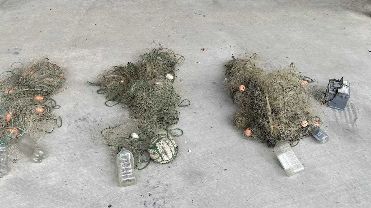 Northland fishers caught flouting shellfish rules in summer crackdown