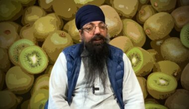 Kiwifruit labour companies run by Ajaypal Singh in liquidation allegedly owing $57m in unpaid tax