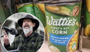 Greens call for ‘urgent inquiry’ into Heinz Wattie’s and McCain plant closures